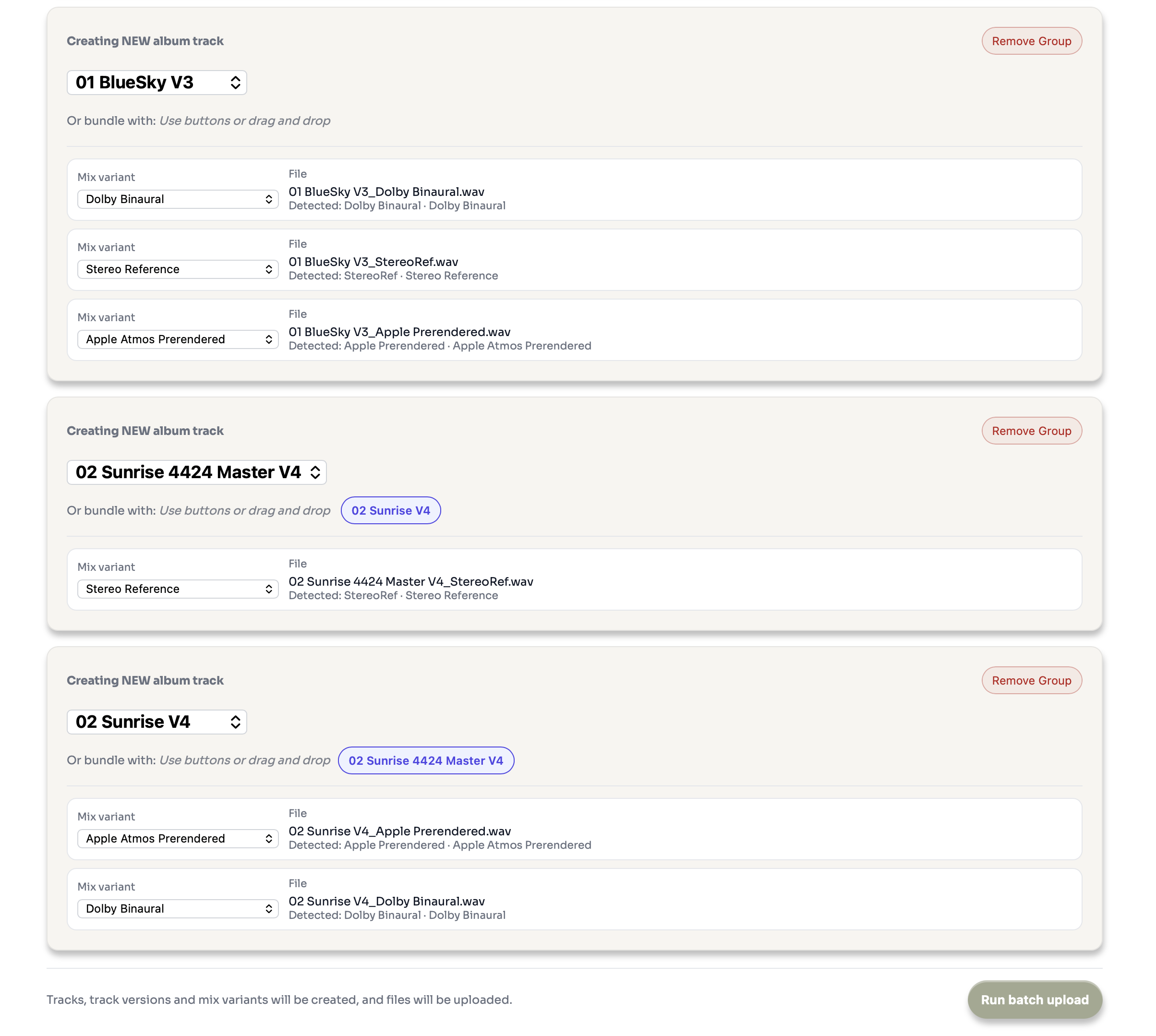 Bundle preview โ files grouped into track versions with detected variants and manual assignment dropdown